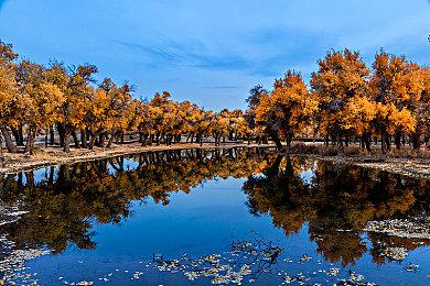 网飞动画《大怪兽卡美拉 重生》正式预告公开